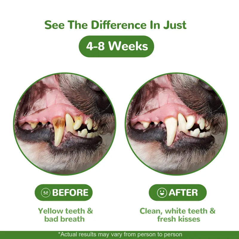 Nuvori Dental Health Powder for Dogs - Chicken Flavor